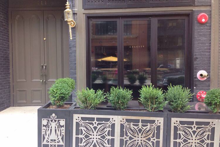 Celeste River North Chicago